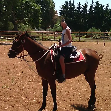 Casa Il Pontile Mini Cipollina